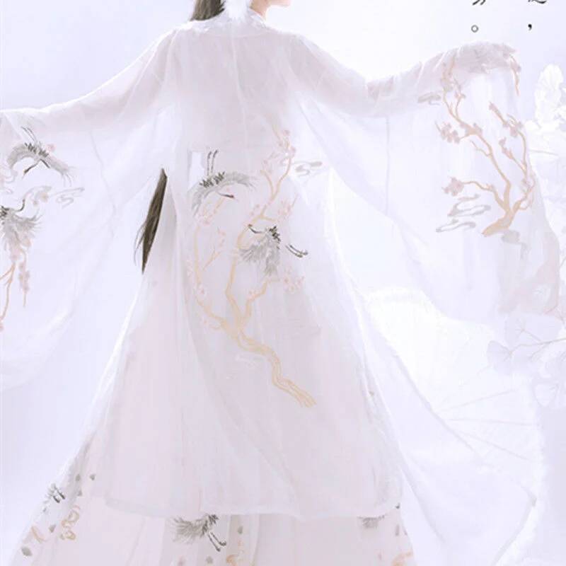 Chinese Ancient Hanfu Women's  - Embroidery Cotton Shirt 评论和价格